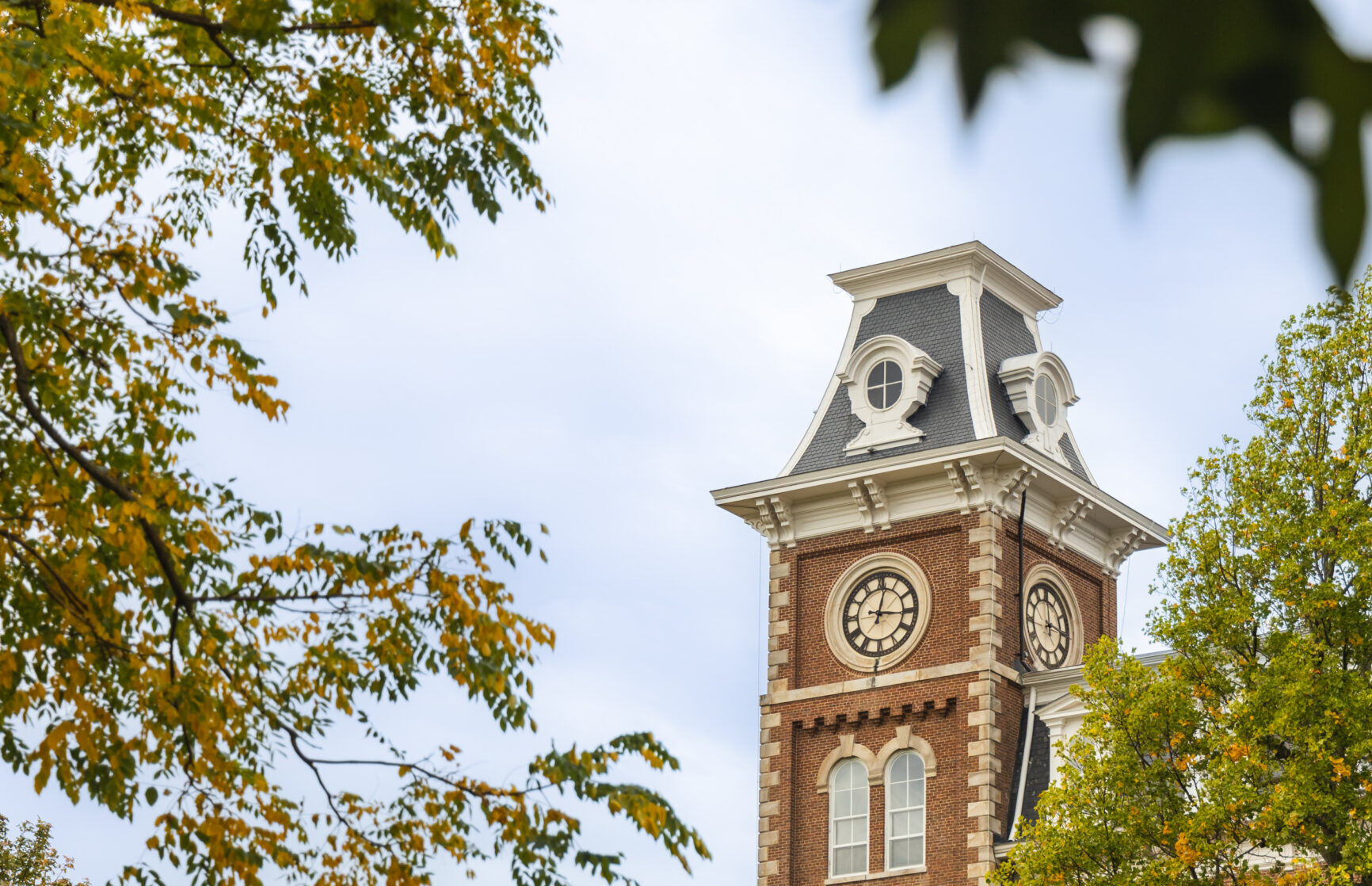 Welcome to the Razorback Yearbook